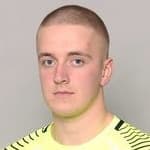 Т. Свенссон Лиллвик