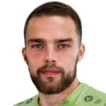 Н. Голдобин