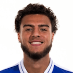 Н. Гуиннесс-Валкер