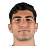 М. Веселджи