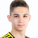 В. Диджинари