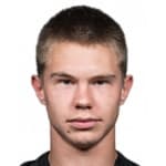 И. Воротников