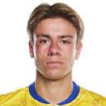 С. Ван Дессел