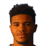 Лудгеро Порчерон