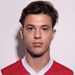 В. Живоджинович