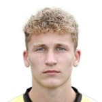 Дж. Мунстерс