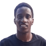 Т. Леинаниане