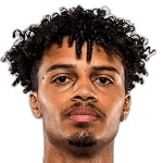 Бруклин Лионс-Фостер