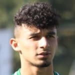 Г. Баиракдар