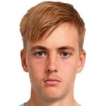 Л. Бергстрём