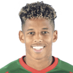 Андре Видигал