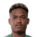 Гени Катамо