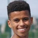 Н. Франсоисе