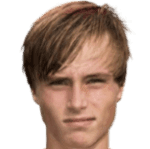 Д. Вармердам