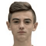 Д. Лангамер