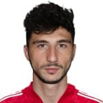 Д. Цаллагов