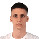 Д. Гружевскии