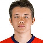 Д. Полшиков