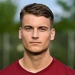 М. Ханнеманн