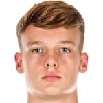 М. Лиесеганг