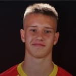 К. Топоркиевикз