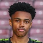 Б. Хосаннах