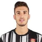 Ф. Баллардо