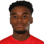 Д. Моттлеи-Хенри