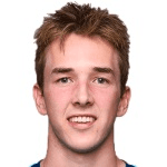 К. Ниеувенхоф