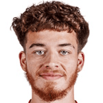 Б. Генесини