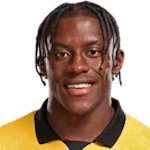 Дж. Беллегарде