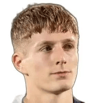 Г. Маттеони