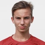 Ж. Балтрунас