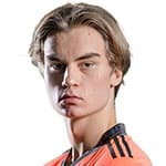 Е. Хенрикссон