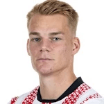 П. Лиенхарт