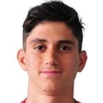 Б. Ледерман