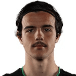 Н. Милановик