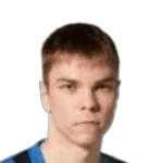 Л. Куиттинен