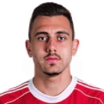 Н. Градишар