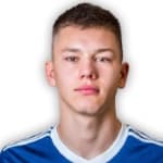 Н. Крсманович