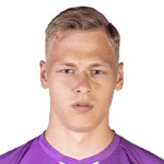 Л. Хорничек