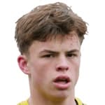 Т. Верхеиджен