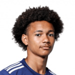 Л. Пиррингуел