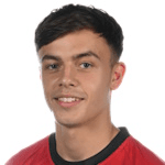 Л. Равенхилл