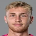 Дж. Треичел