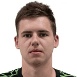 Д. Полианскии