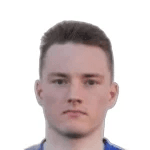 К. Малицкии