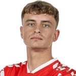 Н. Верацчниг