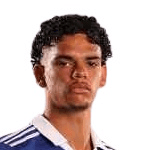 Брандон Ашлеи Ковер