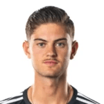 Нико ван Риджн